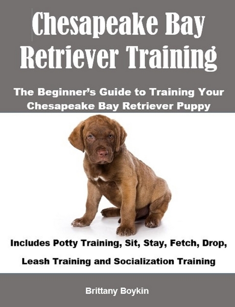 Chesapeake Bay Retriever Exercitium A inceptor est scriptor Rector ut Chesapeake tuum Bay Dog Training -  Brittany Boykin