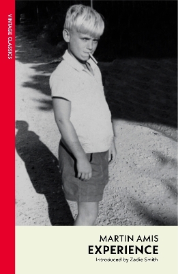 Experience - Martin Amis