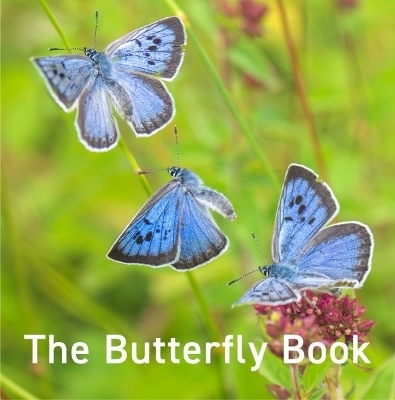 Nature Book Series: The Butterfly Book - Jane Russ, Andrew Fusek Peters