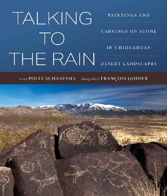 Talking to the Rain - Polly Schaafsma