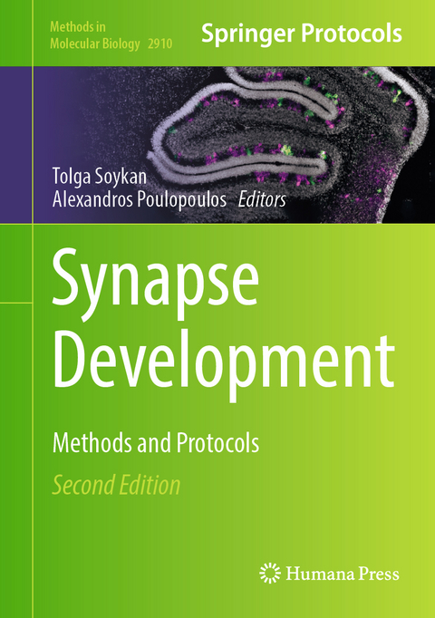 Synapse Development - 