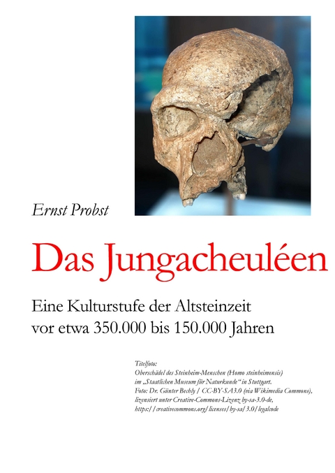 Das Jungacheuléen - Ernst Probst