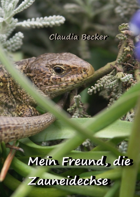 Mein Freund, die Zauneidechse - Claudia Becker