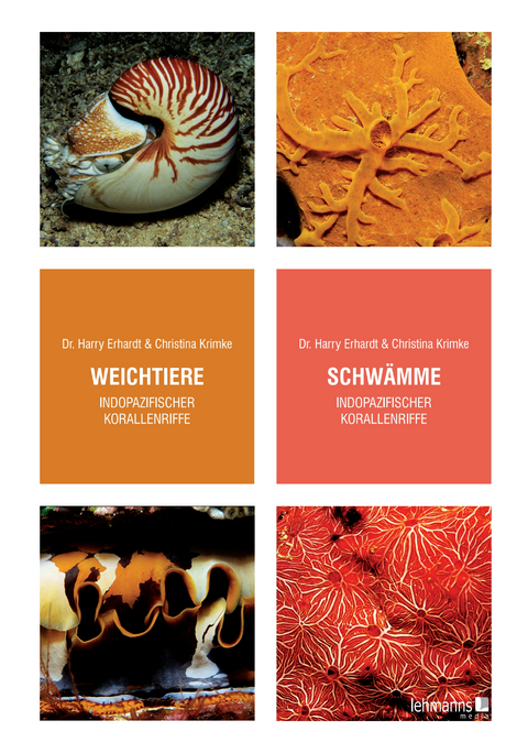 Weichtiere, Schw&auml;mme - Harry Erhardt, Christina Krimke