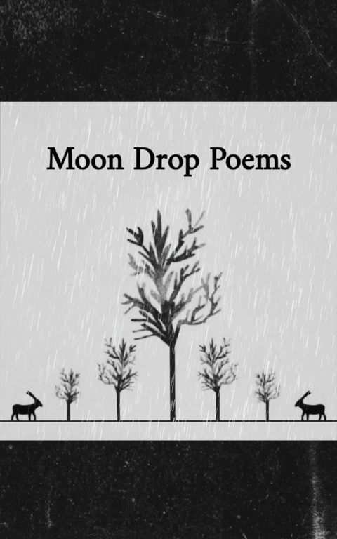 Moon Drop Poems E-Book Version - B Atasoy
