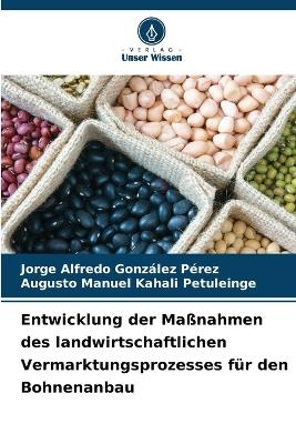 Entwicklung der Maßnahmen des landwirtschaftlichen Vermarktungsprozesses für den Bohnenanbau
