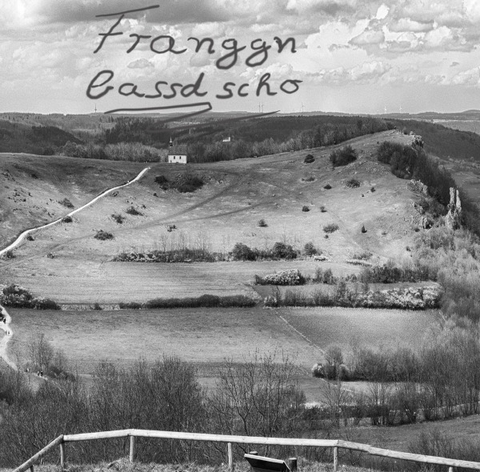 Franggn bassd scho - Fritz Gumbmann