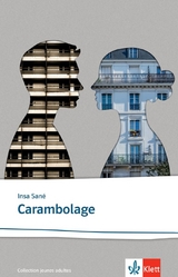Carambolage - Insa San&eacute;