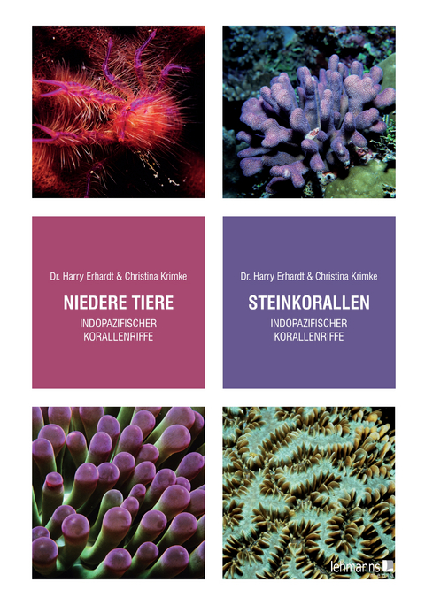 Steinkorallen, Niedere Tiere - Harry Erhardt, Christina Krimke