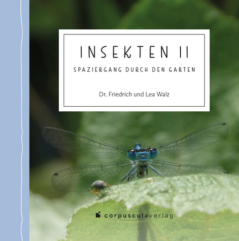 Insekten 2 - Friedrich Walz