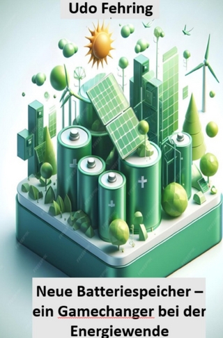 Neue Batteriespeicher - ein Gamechanger bei der Energiewende
