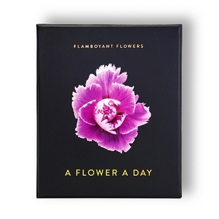 Flamboyant Flowers Perpetual Calendar