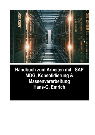 SAP Master Data Governance – Consolidation & Massenverarbeitung mit SAP DQM (Data Quality Management )- Best Practices Handbuch mit Anwendungsbeispielen