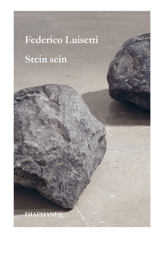 Stein sein