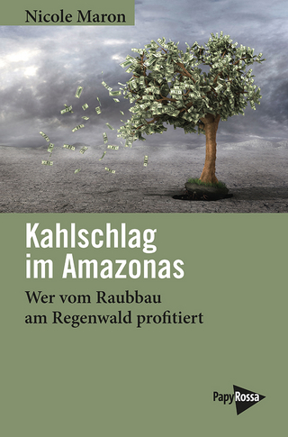 Kahlschlag im Amazonas