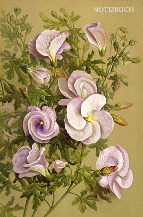 Notizbuch - Elizabeth Potter