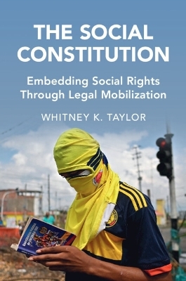 The Social Constitution