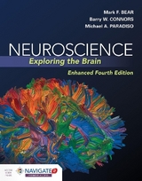 Neuroscience: Exploring the Brain, Enhanced Edition - Bear, Mark; Connors, Barry; Paradiso, Michael A.