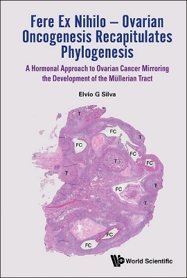 Fere Ex Nihilo - Ovarian Oncogenesis Recapitulates Phylogenesis: A Hormonal Approach To Ovarian Cancer Mirroring The Development Of The Mullerian Tract - Elvio G Silva
