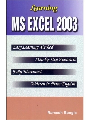 Learning Ms Excel 2003