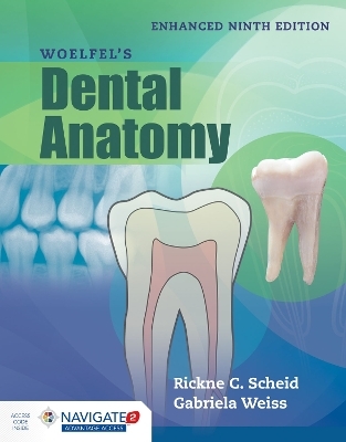Woelfel's Dental Anatomy, Enhanced Edition - Rickne C. Scheid, Gabriela Weiss