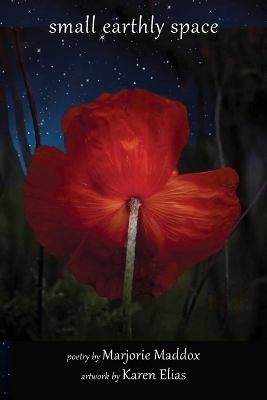 Small Earthly Space - Marjorie Maddox
