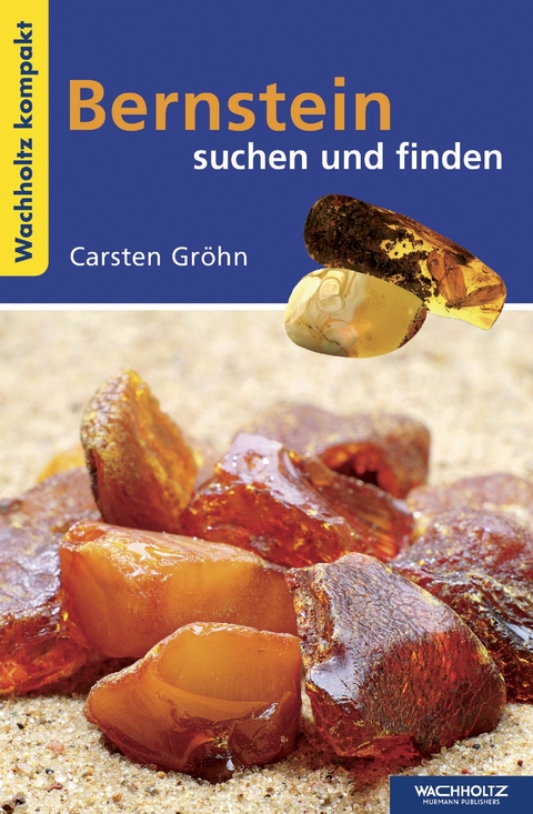 Bernstein suchen und finden KOMPAKT - Carsten Gr&ouml;hn