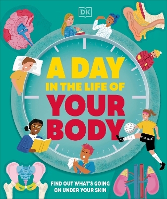 A Day in the Life of Your Body -  Dk