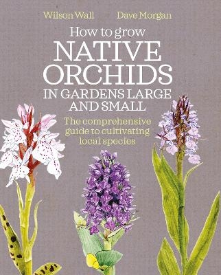 How to Grow Native Orchids in Gardens Large and Small - Wilson Wall, Dave Morgan