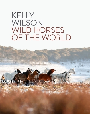 Wild Horses of the World - Kelly Wilson