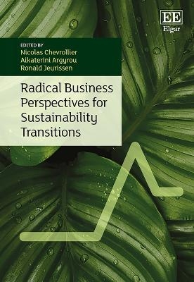 Radical Business Perspectives for Sustainability Transitions - 