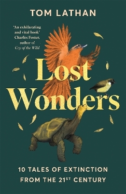 Lost Wonders - Tom Lathan