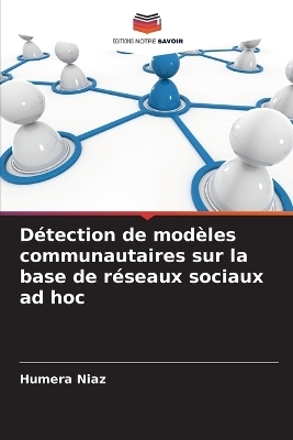 Détection de modèles communautaires sur la base de réseaux sociaux ad hoc