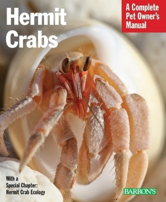 Hermit Crabs - Sue Fox
