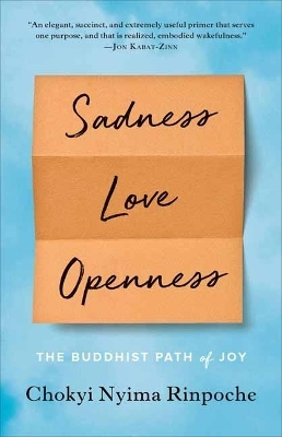Sadness, Love, Openness - Chokyi Nyima Rinpoche