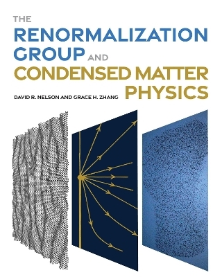 The Renormalization Group and Condensed Matter Physics - David R. Nelson, Grace H. Zhang