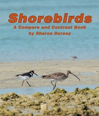 Shorebirds