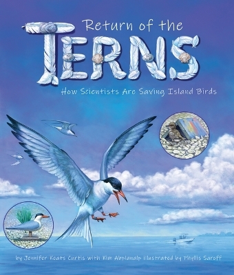 Return of the Terns - Jennifer Keats Curtis, Kim Abplanalp