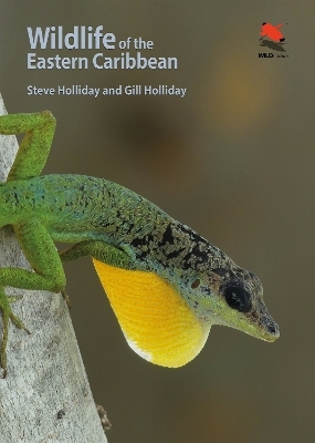 Wildlife of the Eastern Caribbean - Steve Holliday, Gill Holliday