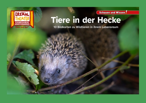 Tiere in der Hecke / Kamishibai Bildkarten