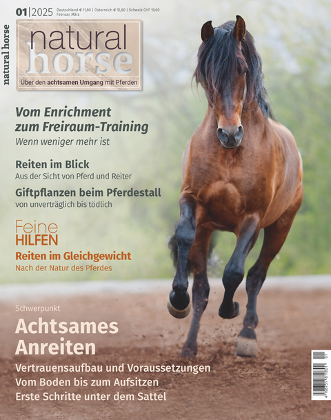 Natural Horse 55 - 