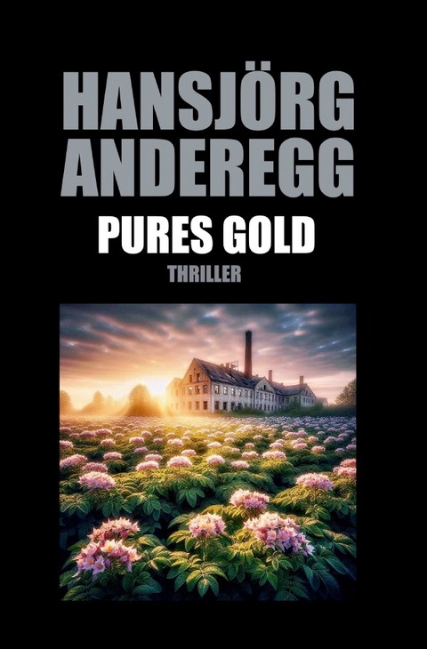 Pures Gold - Hansj&ouml;rg Anderegg