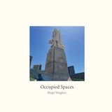 Occupied Spaces - Birgit Weiglein