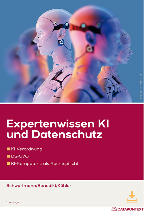 Expertenwissen KI und Datenschutz - Rolf Schwartmann, Kristin Benedikt, Moritz Köhler