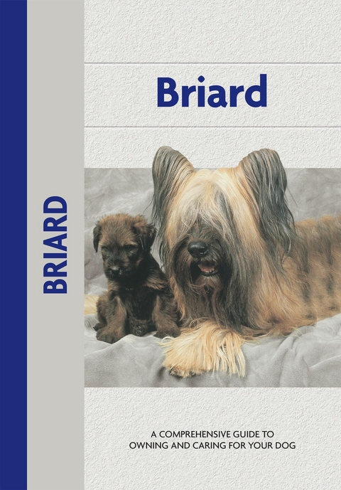 Briard - Desiree Scott