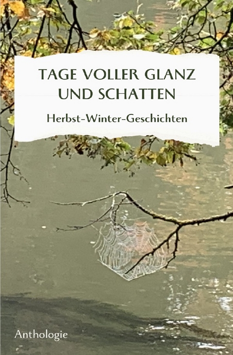 Monatsgeschichten / TAGE VOLLER GLANZ UND SCHATTEN - Margit Th&uuml;rauf, Christine Hagelkr&uuml;ys, Leonore Michaelis, Ilona Weinrich, Anneliese Naser