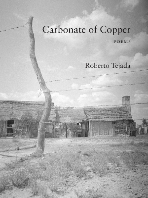 Carbonate of Copper - Roberto Tejada