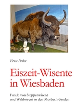 Eiszeit-Wisente in Wiesbaden - Ernst Probst