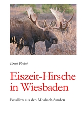 Eiszeit-Hirsche in Wiesbaden - Ernst Probst