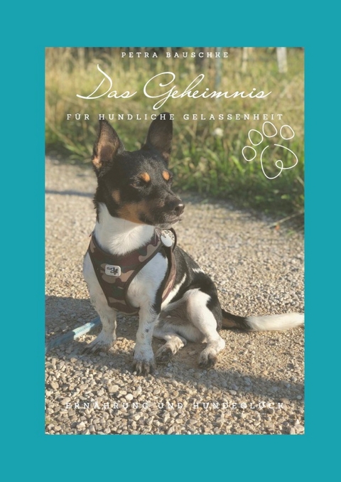 Das Geheimnis für hundliche Gelassenheit - Petra Bauschke